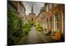 The Netherlands, Haarlem, Street, Lane-Ingo Boelter-Mounted Photographic Print