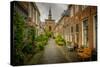 The Netherlands, Haarlem, Street, Lane-Ingo Boelter-Stretched Canvas