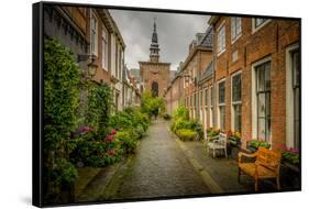 The Netherlands, Haarlem, Street, Lane-Ingo Boelter-Framed Stretched Canvas