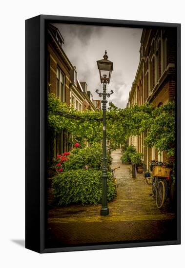 The Netherlands, Haarlem, Street, Lane-Ingo Boelter-Framed Stretched Canvas