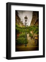 The Netherlands, Haarlem, Street, Lane-Ingo Boelter-Framed Photographic Print