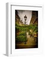 The Netherlands, Haarlem, Street, Lane-Ingo Boelter-Framed Photographic Print