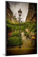 The Netherlands, Haarlem, Street, Lane-Ingo Boelter-Mounted Photographic Print