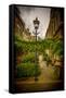 The Netherlands, Haarlem, Street, Lane-Ingo Boelter-Framed Stretched Canvas