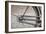 The Netherlands, Holland, Amsterdam, bicycle, old-olbor-Framed Photographic Print