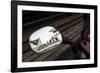 The Netherlands, Holland, Amsterdam, rear-view mirror, motorbike, reflexions,-olbor-Framed Photographic Print