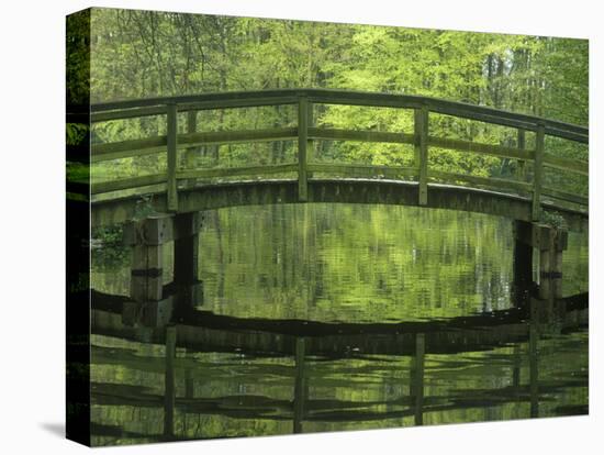 The Netherlands, the Hague, Haagse Bos, Bridge in the Municipal Park-Andreas Keil-Stretched Canvas