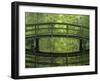 The Netherlands, the Hague, Haagse Bos, Bridge in the Municipal Park-Andreas Keil-Framed Photographic Print