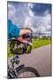 The Netherlands, Tour, Bike, Cycling Tour, Bicycle, Hand, Close-Up, Detail-Ingo Boelter-Mounted Photographic Print