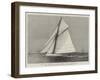 The New American Steel Sloop Yacht Volunteer-null-Framed Giclee Print