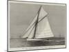 The New American Steel Sloop Yacht Volunteer-null-Mounted Giclee Print