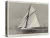 The New American Steel Sloop Yacht Volunteer-null-Stretched Canvas