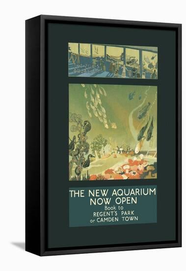 The New Aquarium Now Open-George Sheringham-Framed Stretched Canvas