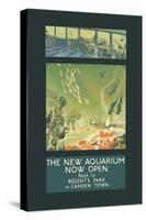 The New Aquarium Now Open-George Sheringham-Stretched Canvas