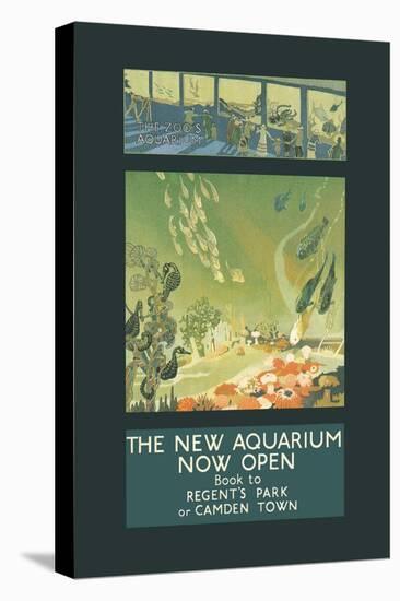 The New Aquarium Now Open-George Sheringham-Stretched Canvas