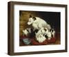 The New Arrivals, 19th Century-Henriette Ronner Knip-Framed Giclee Print