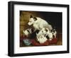 The New Arrivals, 19th Century-Henriette Ronner Knip-Framed Giclee Print