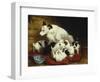 The New Arrivals, 19th Century-Henriette Ronner Knip-Framed Giclee Print