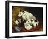 The New Arrivals, 19th Century-Henriette Ronner Knip-Framed Giclee Print