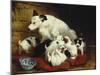The New Arrivals, 19th Century-Henriette Ronner Knip-Mounted Giclee Print