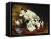 The New Arrivals, 19th Century-Henriette Ronner Knip-Framed Stretched Canvas