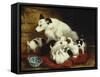 The New Arrivals, 19th Century-Henriette Ronner Knip-Framed Stretched Canvas