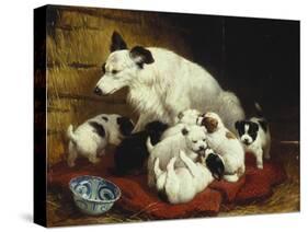The New Arrivals, 19th Century-Henriette Ronner Knip-Stretched Canvas