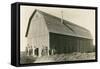 The New Barn-null-Framed Stretched Canvas