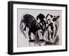 The New Calves-Brenda Brin Booker-Framed Giclee Print