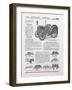 The New Case Model 'CC' Tractor-null-Framed Giclee Print