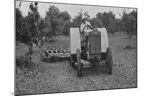 The New Case Orchard Model 'Co' Tractor-null-Mounted Giclee Print