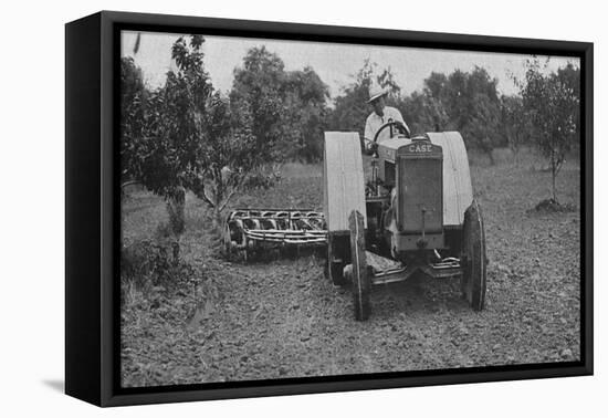 The New Case Orchard Model 'Co' Tractor-null-Framed Stretched Canvas
