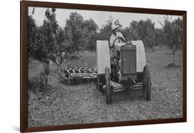 The New Case Orchard Model 'Co' Tractor-null-Framed Giclee Print