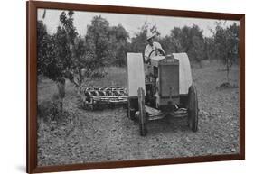 The New Case Orchard Model 'Co' Tractor-null-Framed Giclee Print