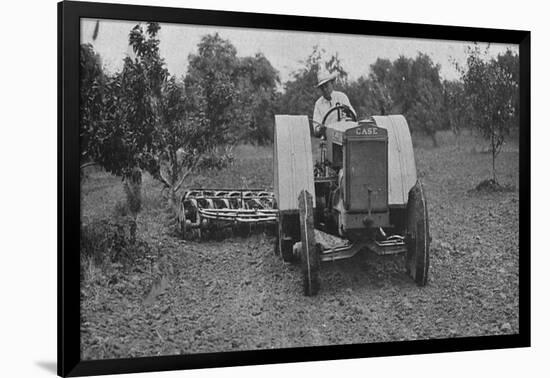 The New Case Orchard Model 'Co' Tractor-null-Framed Giclee Print