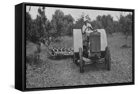 The New Case Orchard Model 'Co' Tractor-null-Framed Stretched Canvas