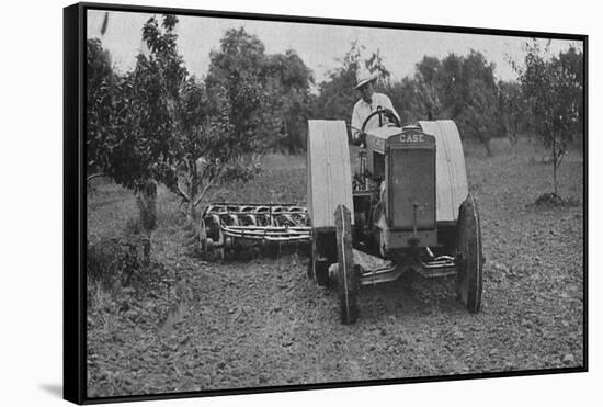 The New Case Orchard Model 'Co' Tractor-null-Framed Stretched Canvas