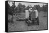 The New Case Orchard Model 'Co' Tractor-null-Framed Stretched Canvas