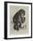 The New Chimpanzee at the Zoological Gardens-null-Framed Giclee Print