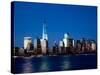 The New Freedom Tower and Lower Manhattan Skyline at Night-Gary718-Stretched Canvas