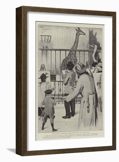 The New Giraffe at the Zoological Society's Gardens, Regent's Park, Artists on Duty-Cecil Aldin-Framed Giclee Print