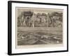 The New Harbour Works at Madras-null-Framed Giclee Print