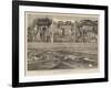 The New Harbour Works at Madras-null-Framed Giclee Print