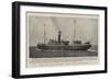 The New Irish Steamer The Duke of Cornwall-null-Framed Giclee Print