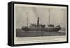The New Irish Steamer The Duke of Cornwall-null-Framed Stretched Canvas