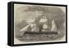 The New Iron-Clad Fleet, Her Majesty's Sloop-Of-War Enterprise-Edwin Weedon-Framed Stretched Canvas