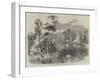 The New Lake, Kew Gardens-null-Framed Giclee Print