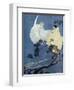 The New Man in the Moon-S. Longley-Framed Art Print