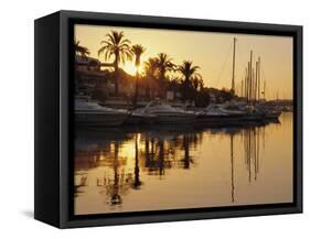 The New Marina, Cala d'Or, Majorca (Mallorca), Balearic Islands, Spain, Europe-Ruth Tomlinson-Framed Stretched Canvas