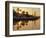 The New Marina, Cala d'Or, Majorca (Mallorca), Balearic Islands, Spain, Europe-Ruth Tomlinson-Framed Photographic Print